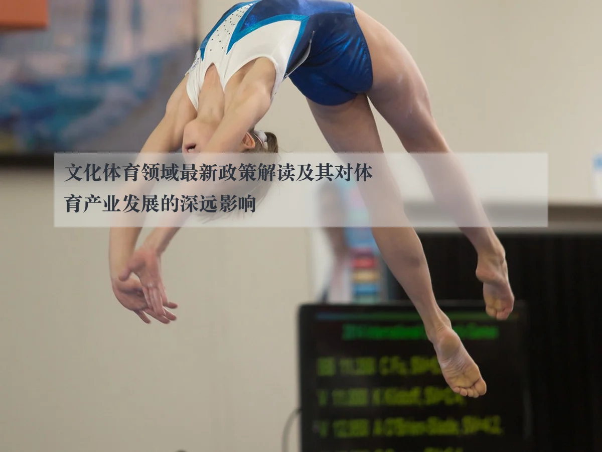 文化体育领域最新政策解读及其对体育产业发展的深远影响